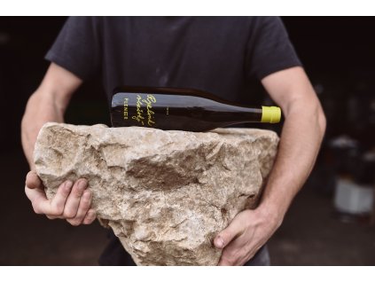 Ryzlink vlašský 2022 feat. 2023