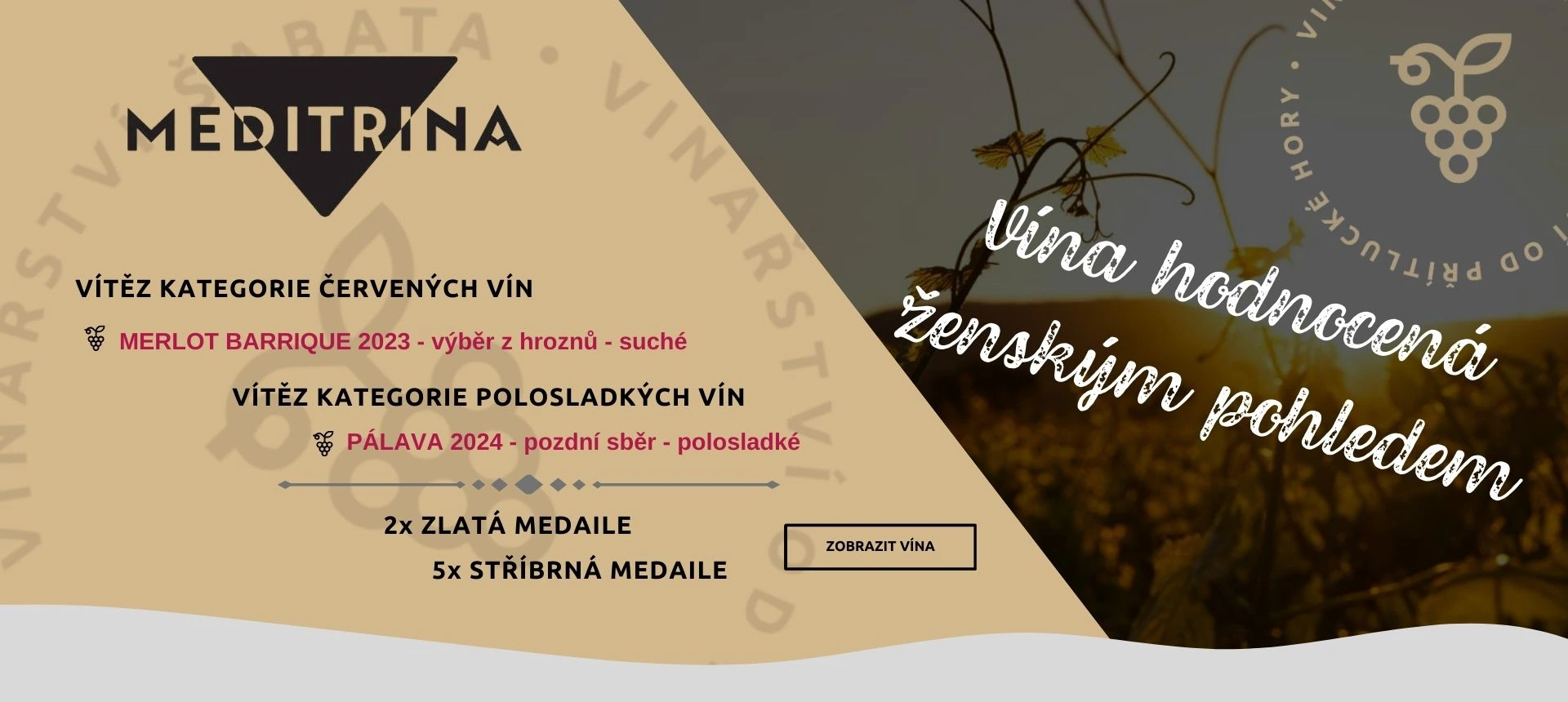 Meditrina 2026 - desktop