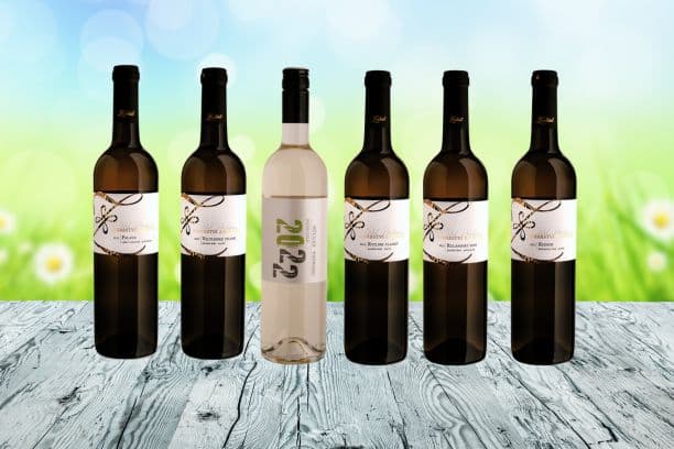 První vína ročníku 2022 jsou zde!