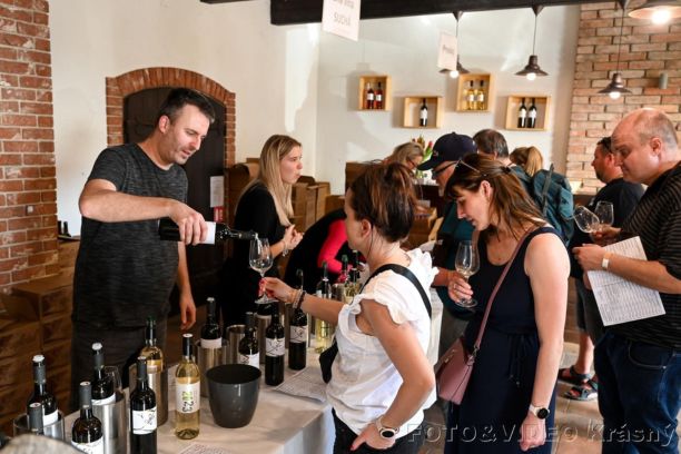 Ze sklepa do sklepa 2026