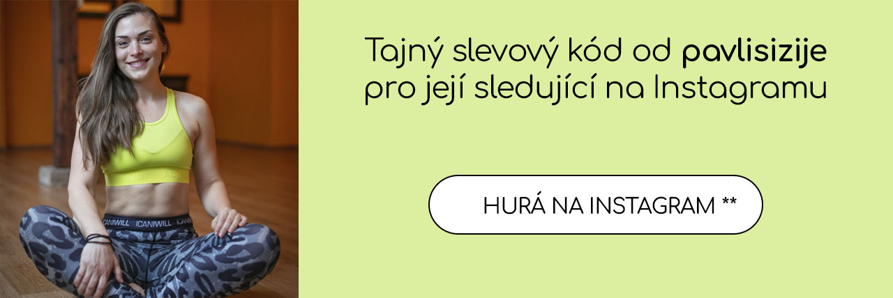 vinci-projekt-sleva-pavlisizije