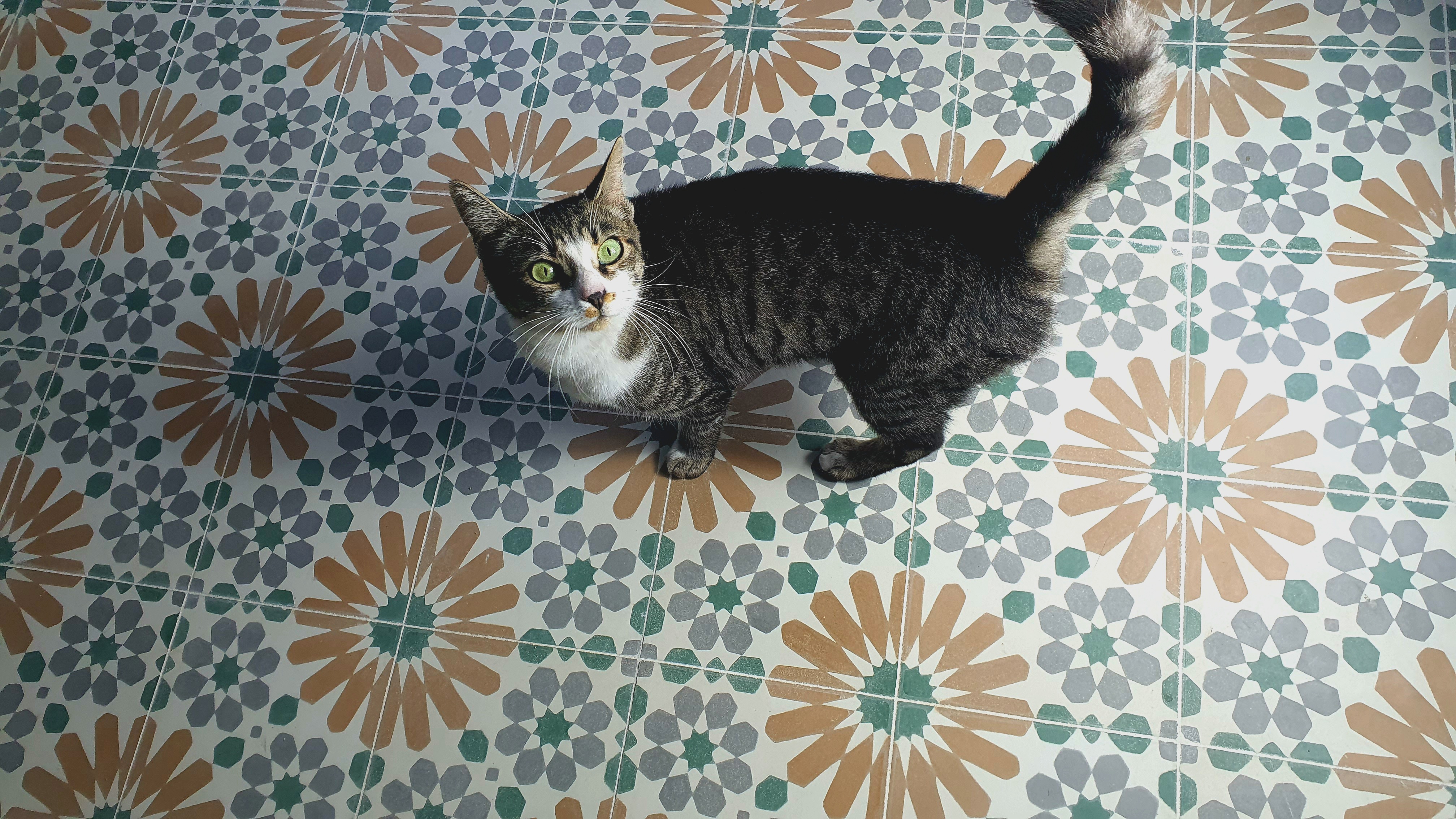 Cementová dlažba – realizace, inspirace, detaily, výroba