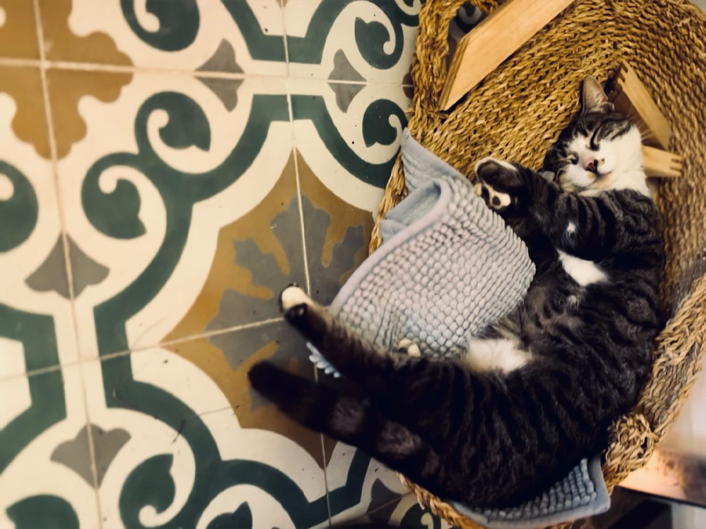 Cementová dlažba – realizace, inspirace, detaily, výroba