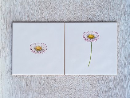 malovane obklady kvetiny sedmikrasky 15x15 02