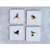 malovane obklady ptacci sada 4 ks 10x10 01