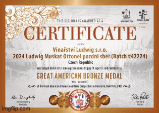 Diplomy Great American WIne 2025
