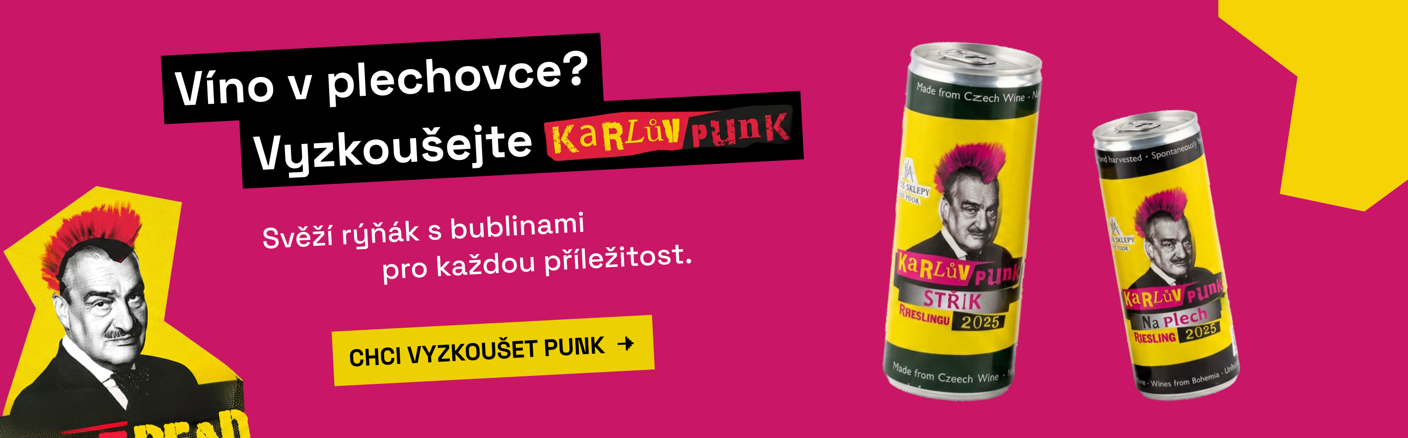 Karlův Punk Plech