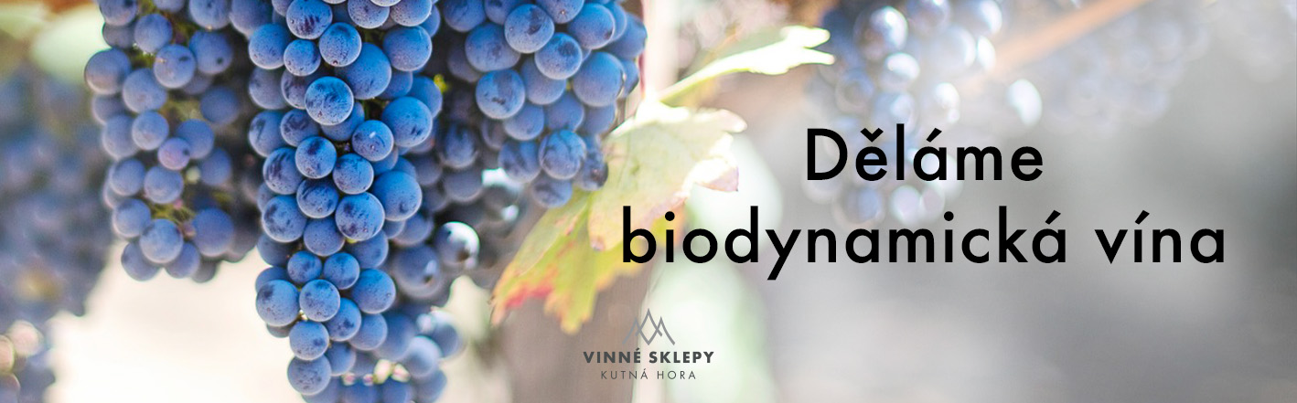 biodynamická vína