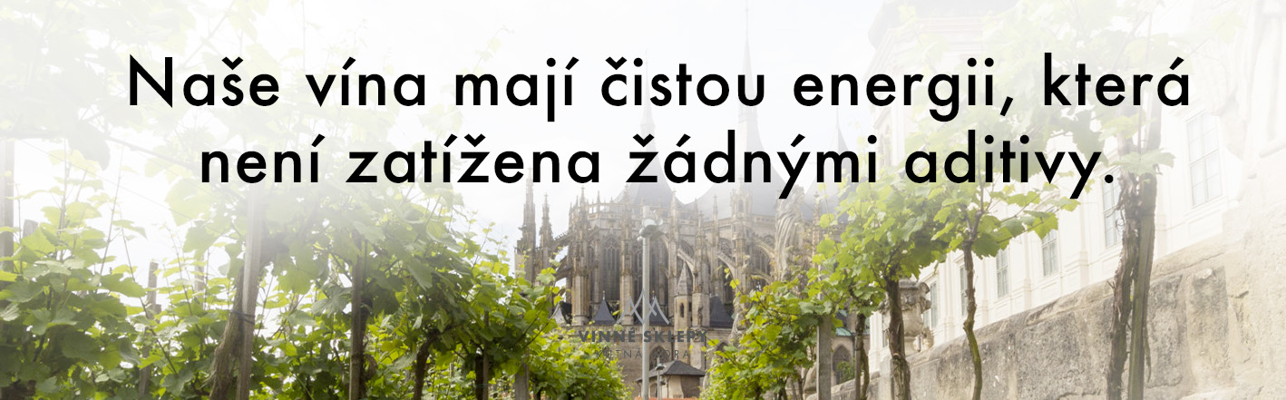 Vinné sklepy Kutná Hora