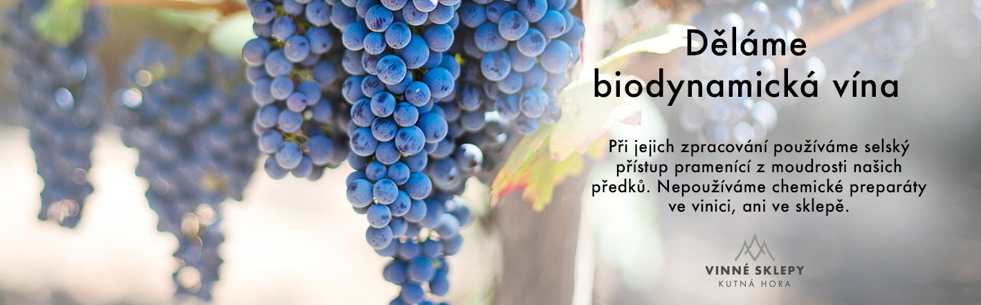 biodynamická vína
