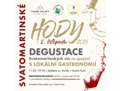 INST PRISPEVEK 1080x1080 SVM HODY (1)