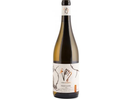 PINOT CUVÉE 2020 authentic
