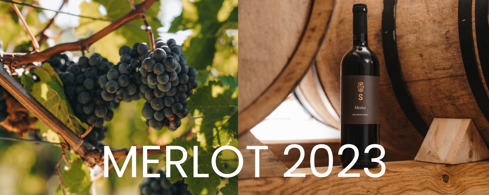 MERLOT 23