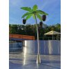 vodní atrakce palma kokosy