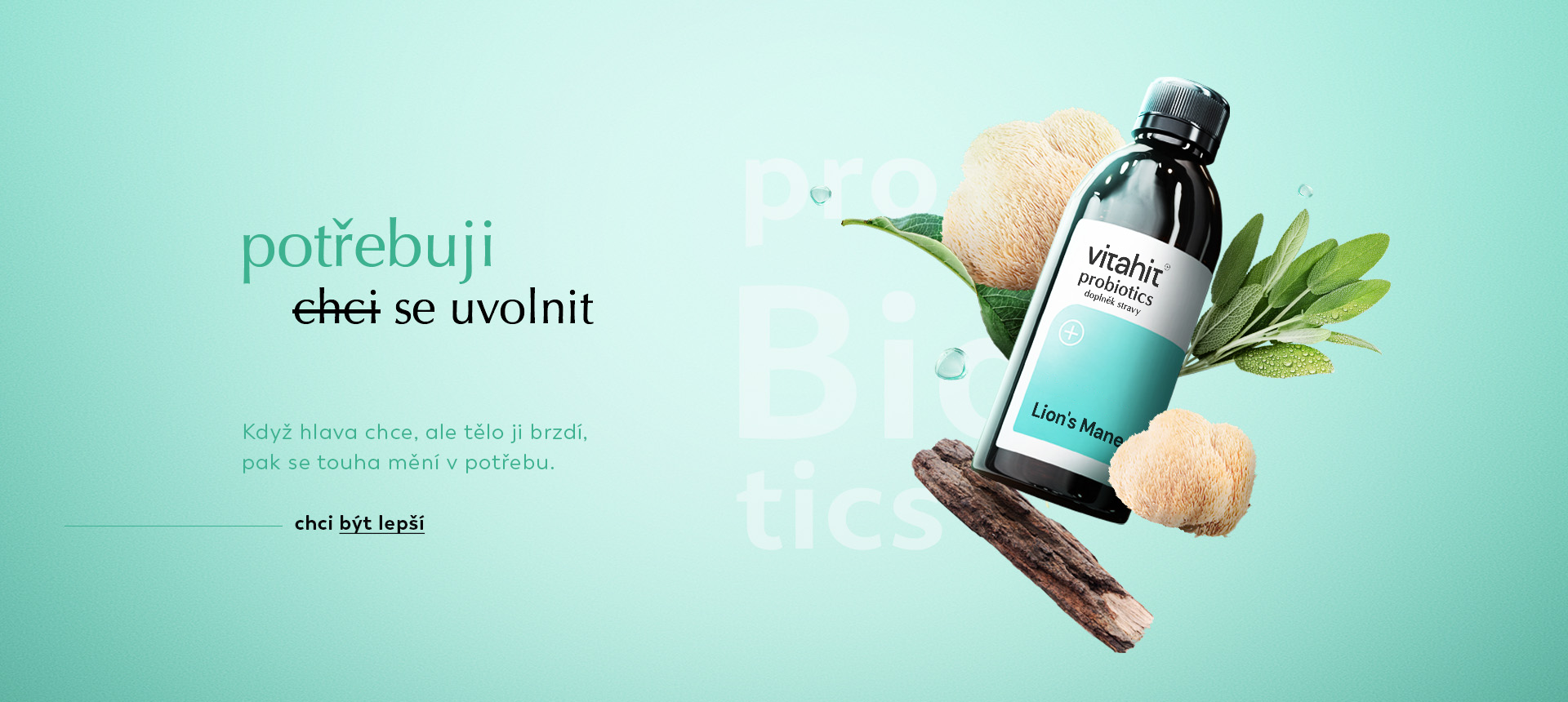 probiotika relief lion's mane