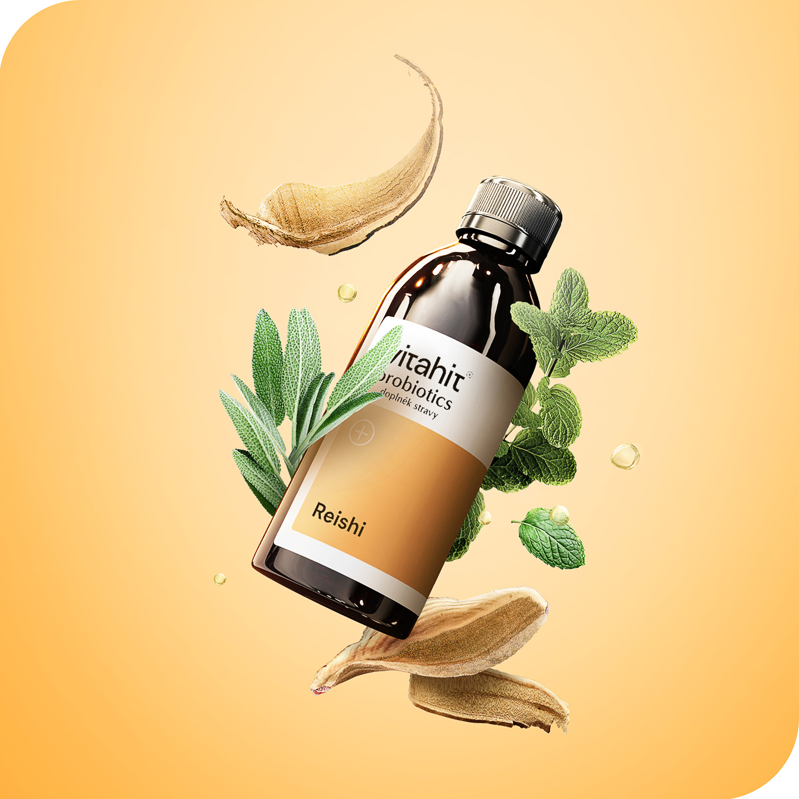 Vitahit Reishi 250 ml