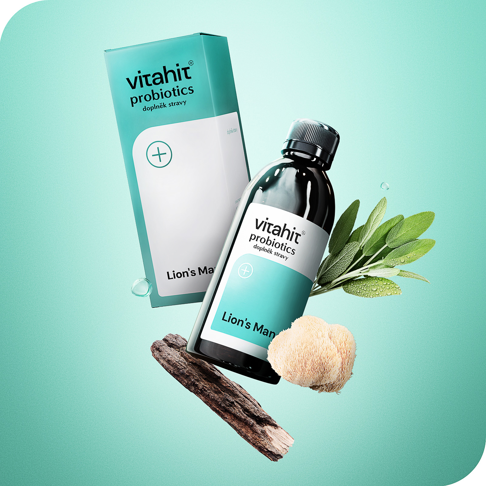 Vitahit Lion's Mane 250 ml