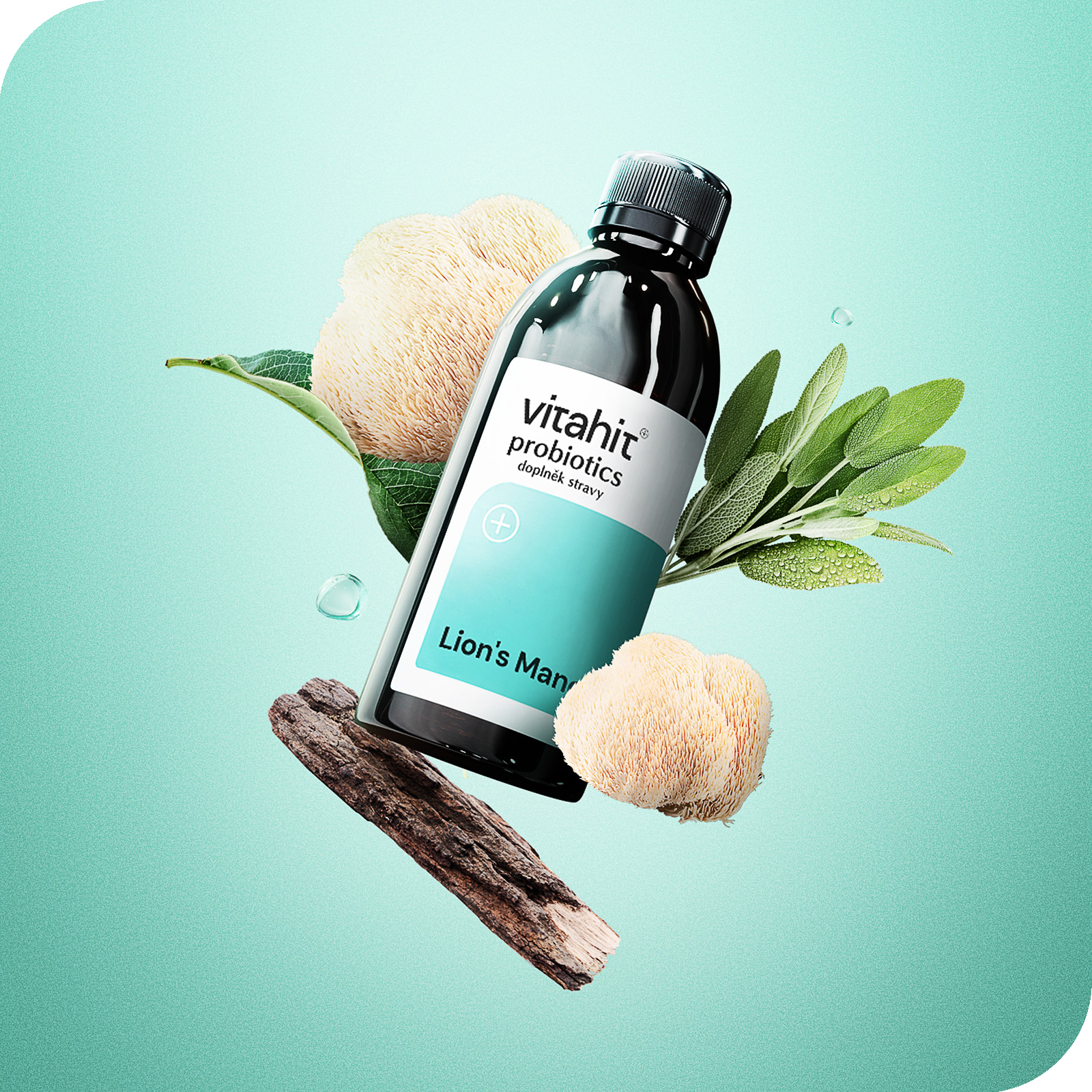 Vitahit Lion's Mane 250 ml