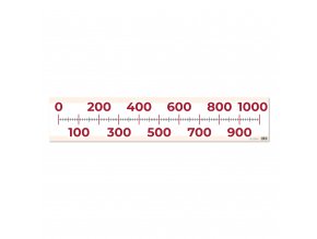 272036238 476789377337930 64150485569401167 n