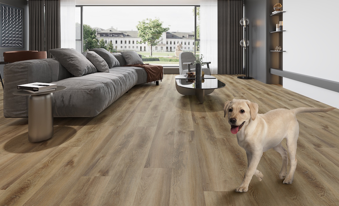 Pet-friendly bydlení: Když stylový domov zvládne i skutečný život