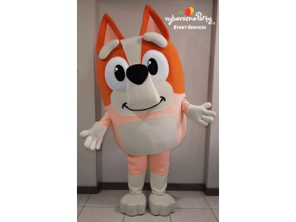 Maskot Pejsek Bluey Bingo
