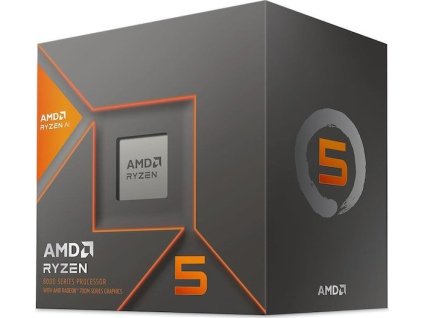 AMD Ryzen 5 8600G