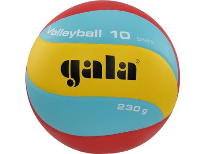 Volejbalový míč GALA Volleyball 10 - BV 5651 S - 230g