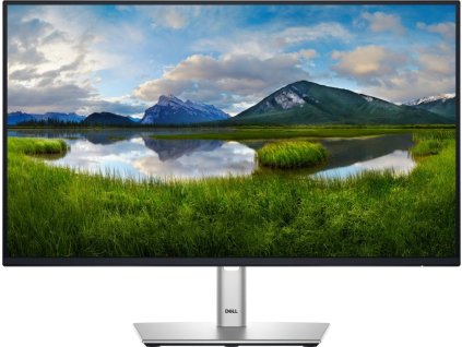 DELL P2425HE Professional (210-BMJB)