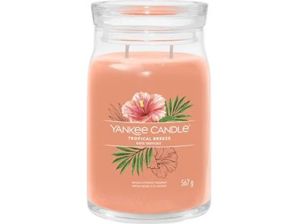yankee candle tropical breeze 567g ien504294