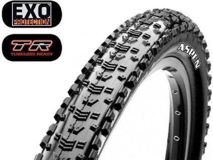 plast maxxis aspen 29x2 10 tr exo dual 120 ien302879