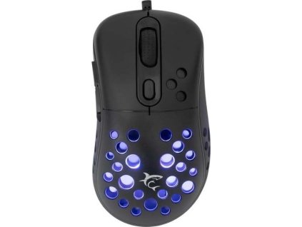 white shark azrael cerna ien566296