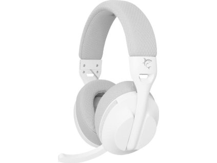 white shark falcon bily ien566642