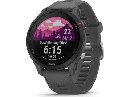 garmin forerunner 255 slate gray ien419112