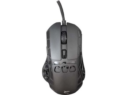 white shark ector cerna ien566307