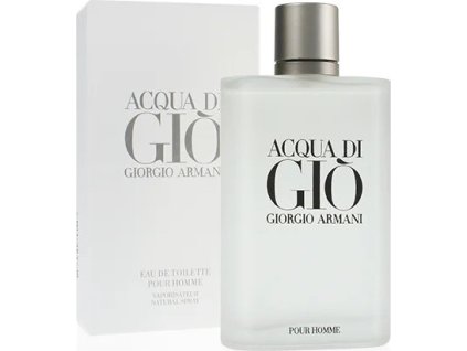 giorgio armani acqua di gio gio pour homme edt 100ml ien357171