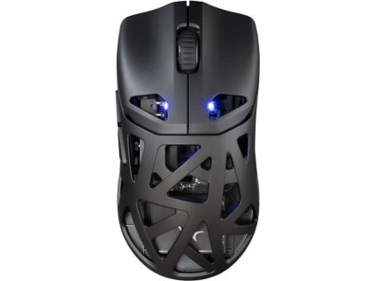 white shark dagonet cerna ien566304