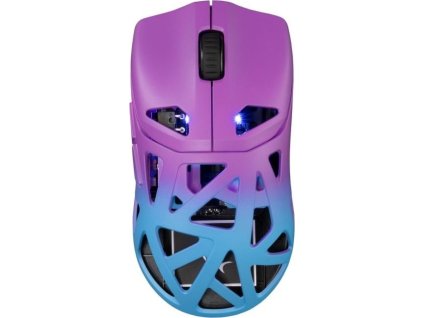 white shark dagonet modro fialova ien566305