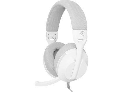 white shark parrot bily ien566370