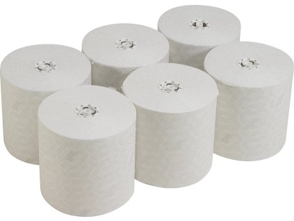 rucniky scott essential bila karton 6 roli x 350 m ien492944