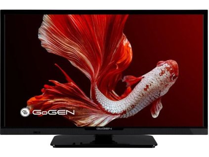 24 gogen tvh 24p352t ien485919