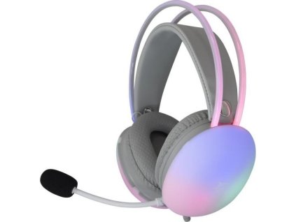 white shark firefly bily ien566362