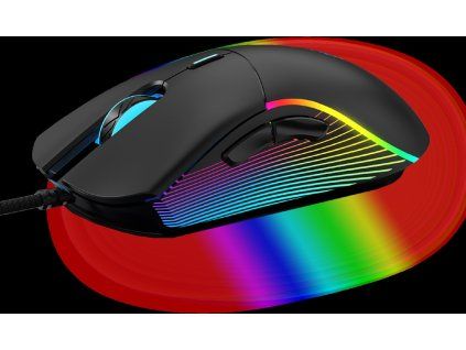 winner group chameleon iii ien574774