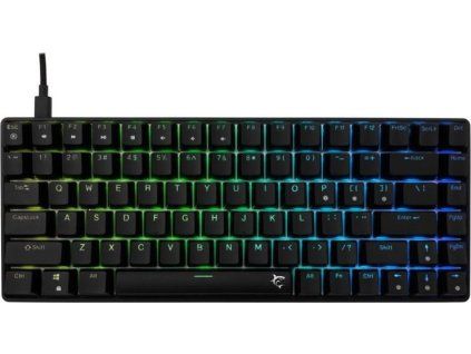 white shark hamachi cerna us ien566335