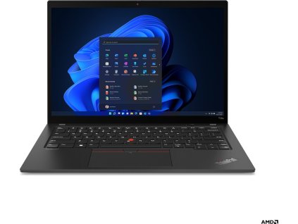 Lenovo ThinkPad T14s G3 (21CQ002VCK)