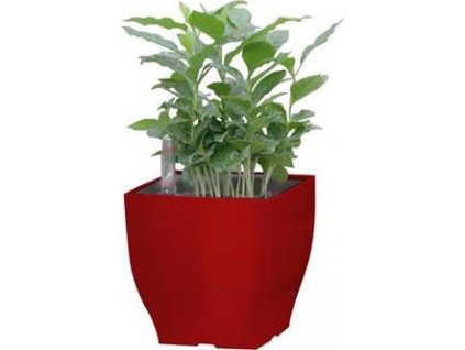 Samozavlažovací květináč G21 Cube mini červený 13.5 cm