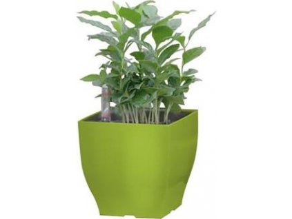 Samozavlažovací květináč G21 Cube mini zelený 13.5 cm