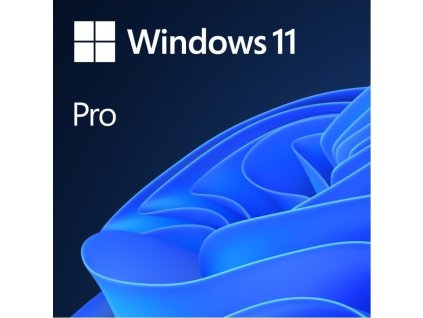 MS Windows 11 Pro 64-bit, CZ, OEM, DVD