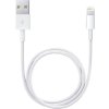 Apple Lightning datový kabel USB - 0,5m (me291zm/a)