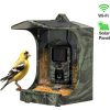 evolveo strongvision birdfeeder ien530462