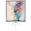 elite screens t120nwv1 120 ien225263